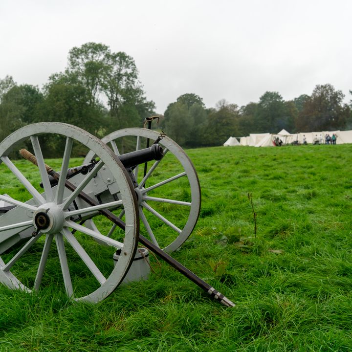 A cannon in a field